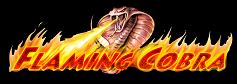 Flaming Cobra